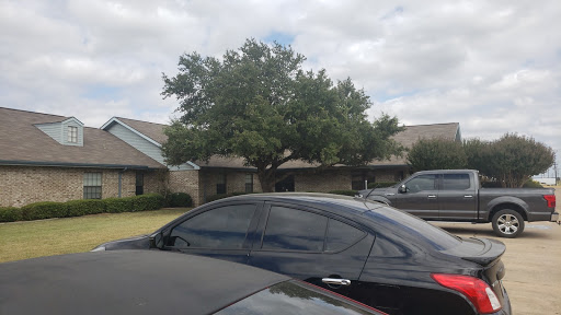 A view of parked cars with a large tree and a building in the background under a cloudy sky.