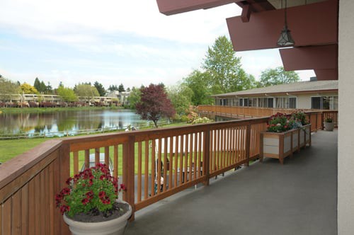 A balcony overlooking a serene lake with potted flowers and wooden fencing.