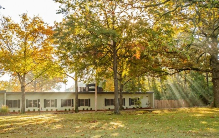 A serene house surrounded by trees with sunlight filtering through the branches.