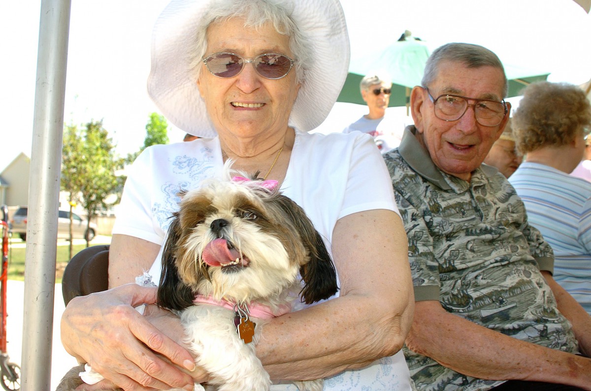 An elderly couple sitting outdoors with a small dog in the woman's lap.