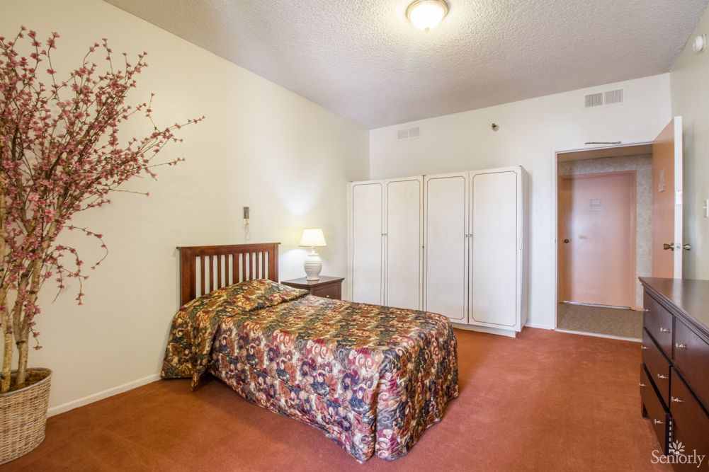 A cozy bedroom with a single bed, decorative plant, and carpeted floor.