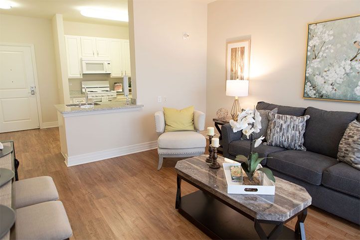 A cozy living room with a sofa, coffee table, and elegant decor.