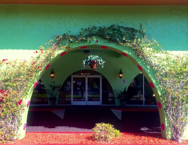 A vibrant building entrance with an arched design, adorned with vines and greenery.