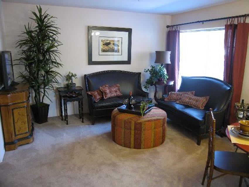 A cozy living room with stylish furniture and decorative plants.
