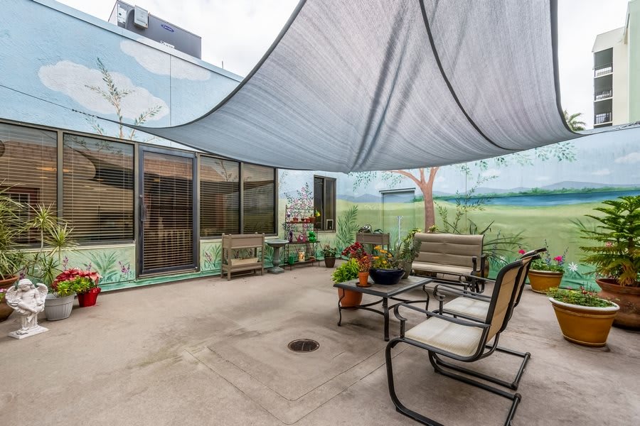 A cozy outdoor patio with seating, shaded by a large canopy and decorated with wall murals and potted plants.