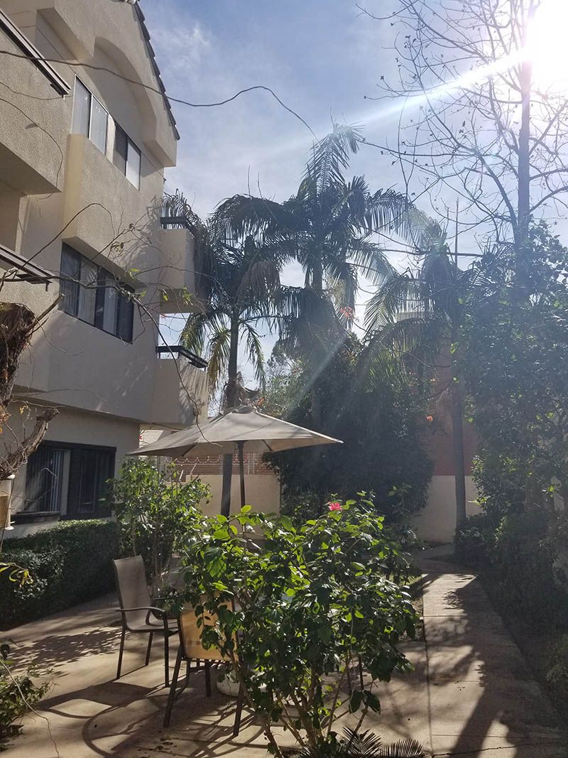 A sunny courtyard with palm trees and patio furniture outside an apartment building.