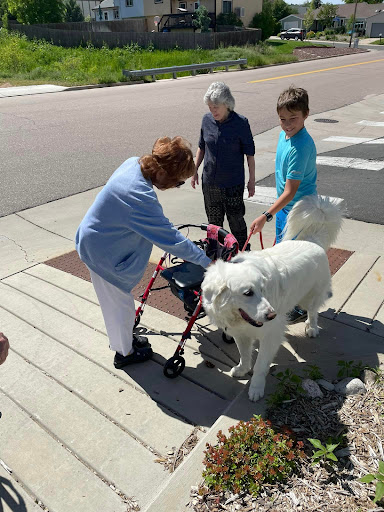 An elderly woman interacts with a large dog while two children watch, enjoying a sunny day outdoors.