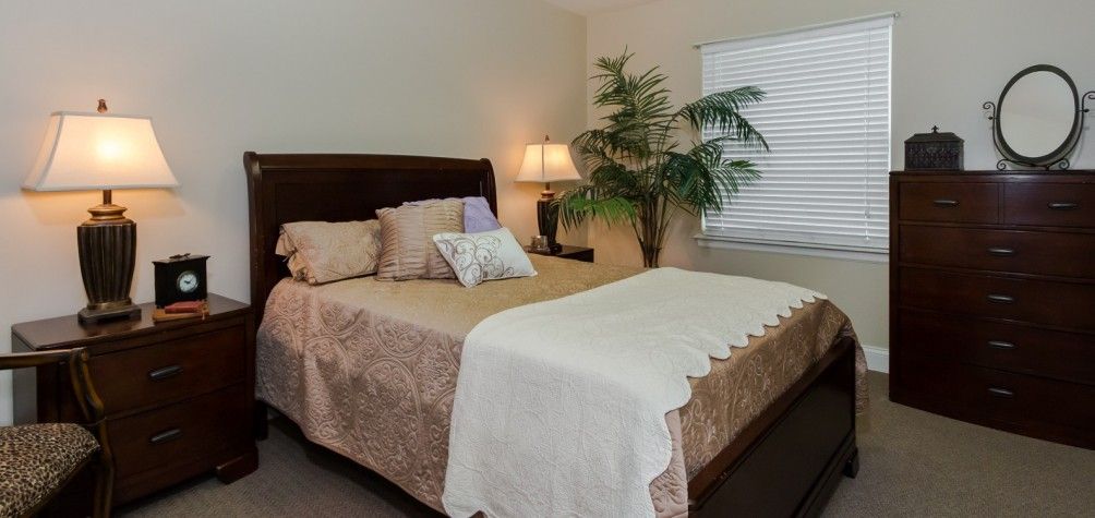 A cozy bedroom with a neatly made bed, decorative pillows, a bedside lamp, and an indoor plant near the window with blinds.