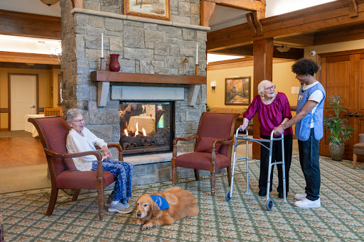 Seniors enjoying a relaxing moment by the fireplace with a friendly dog.