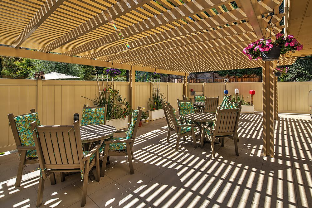 A sunlit patio with a wooden pergola and outdoor seating surrounded by plants.