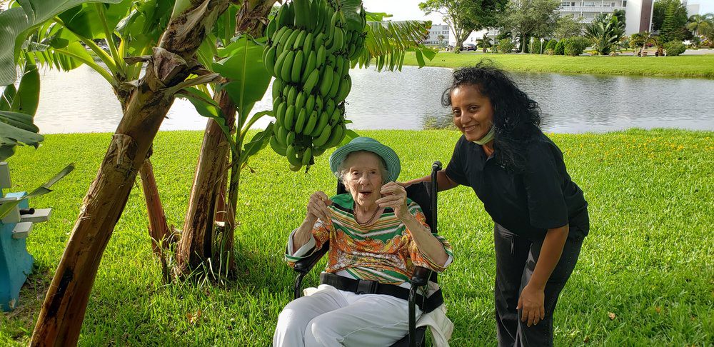 An elderly person in a wheelchair enjoys the outdoors next to a banana tree, accompanied by a caregiver.