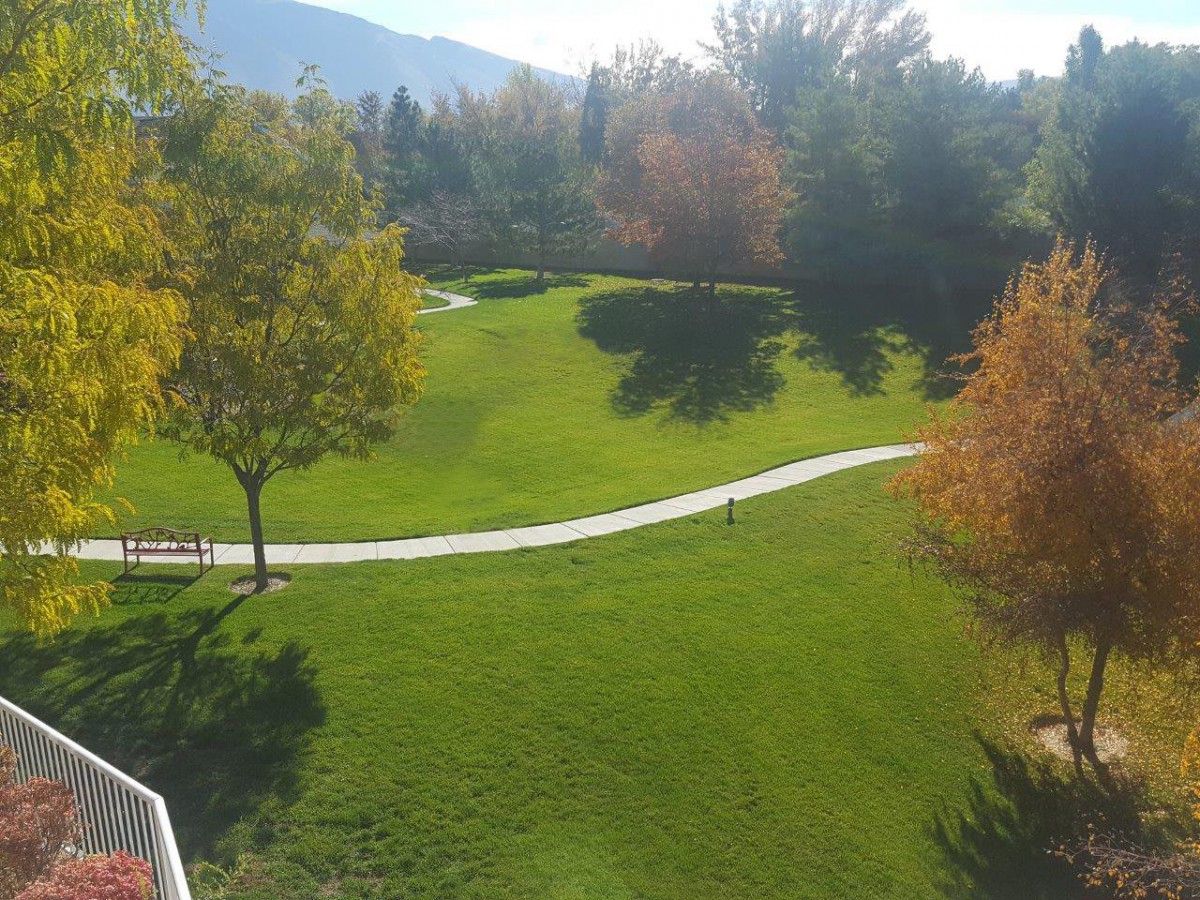 A scenic park with a winding pathway surrounded by grass and trees in autumn colors.