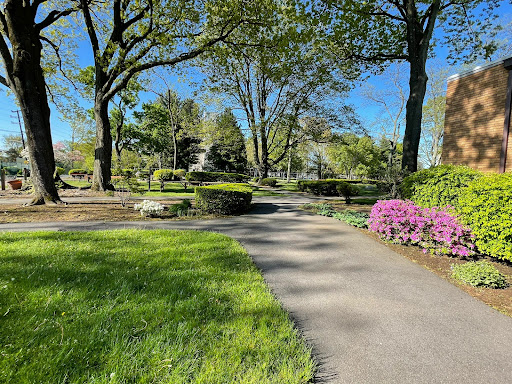 A serene park pathway surrounded by lush greenery and blooming flowers.