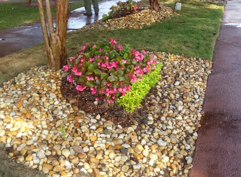 A vibrant display of pink flowers surrounded by pebbles in a landscaped garden.
