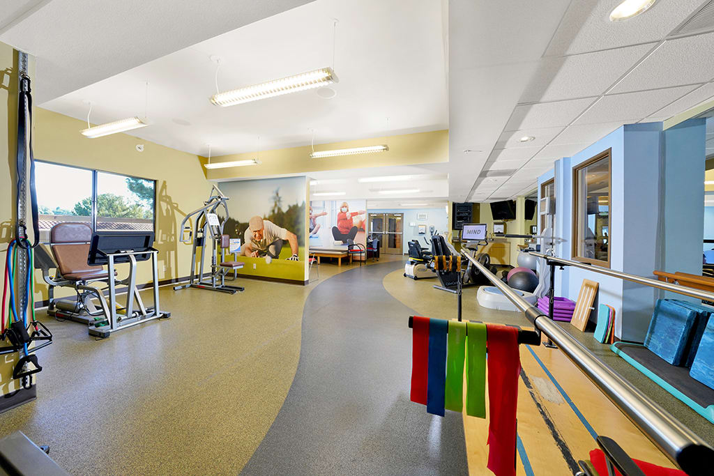 A well-equipped gym or therapy room with various exercise machines and colorful resistance bands.