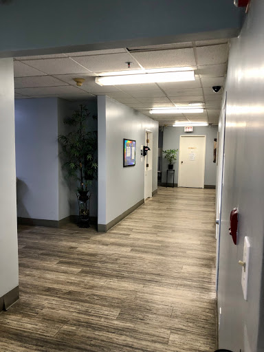 A well-lit office hallway with wooden flooring and a decorative plant.