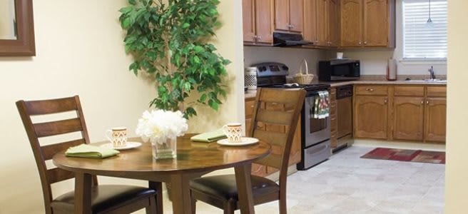 A cozy kitchen and dining area featuring a small table with chairs, a decorative indoor plant, wooden cabinets, and modern appliances.