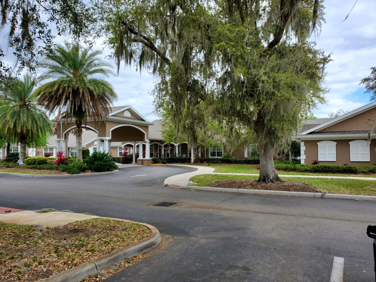 A scenic driveway leading to a building with palm trees and greenery.