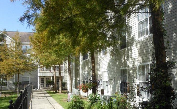 A tree-lined sidewalk in front of an apartment building on a sunny day.