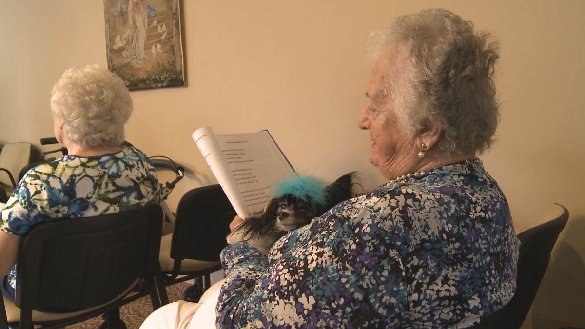 An elderly woman reading indoors with a small dog on her lap.