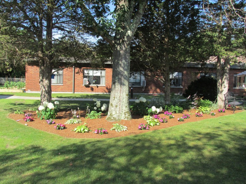 Bayberry Commons