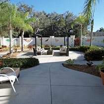 A beautifully landscaped outdoor patio area with seating and surrounded by palm trees on a sunny day.