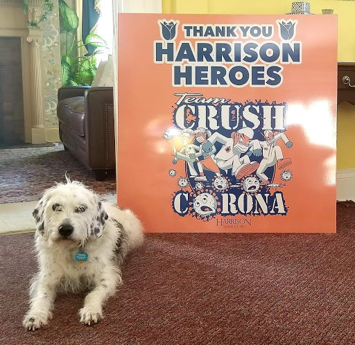 A grateful shoutout to the Harrison Heroes, accompanied by a furry friend!