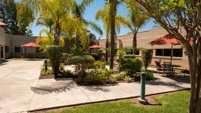 A well-maintained garden with palm trees and a sunny patio area.