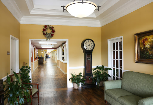 A well-lit hallway featuring a vintage clock, greenery, and comfortable seating.