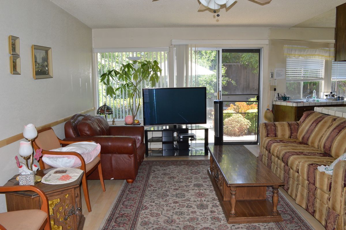 A cozy living room featuring a large television, leather chairs, a sofa, coffee table, and indoor plants with ample daylight streaming through the windows.
