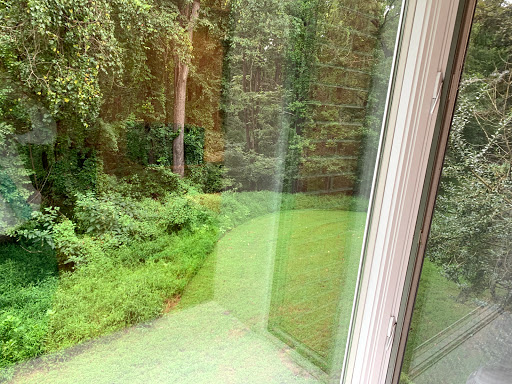 A serene view of a lush green garden and forest from a window.