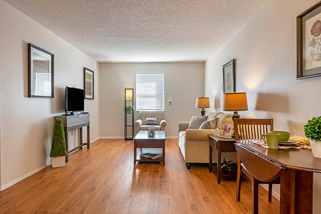 A cozy living room featuring a sofa, coffee table, TV, and lamps, with wooden flooring and a window providing natural light.