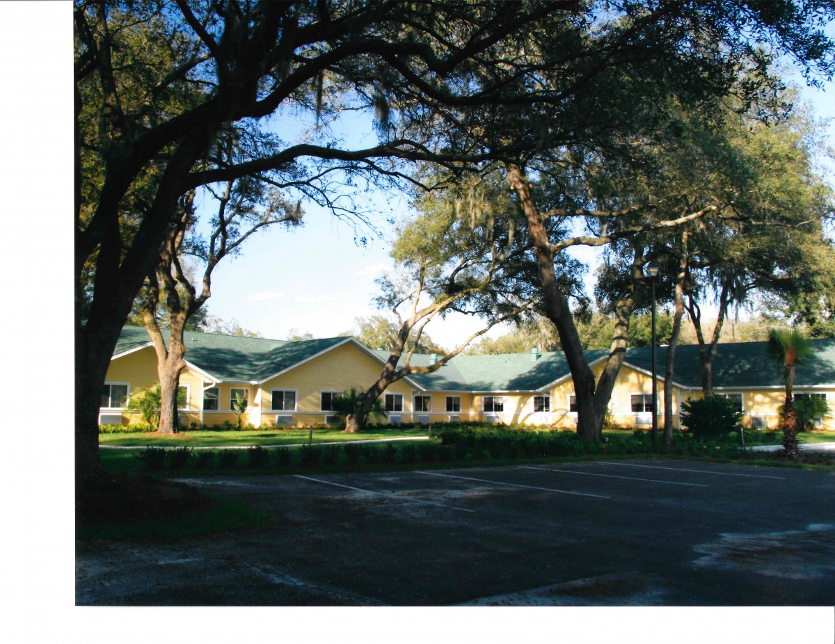 A peaceful view of buildings surrounded by trees and bathed in sunlight.
