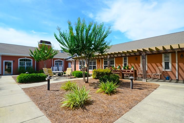 A sunny courtyard with a pergola, benches, and well-maintained landscaping.
