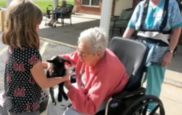 An elderly person in a wheelchair is petting a small animal outdoors.