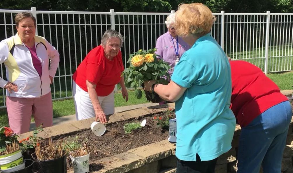 A group of seniors gardening together outside, planting flowers in a raised garden bed.