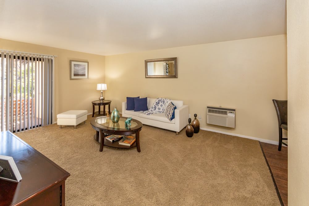 A cozy living room with a beige carpet, featuring a white sofa adorned with blue and patterned pillows, a glass-top coffee table, and a side lamp for ambient lighting.
