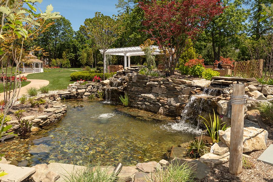 A tranquil garden with a pond and waterfall surrounded by lush greenery.
