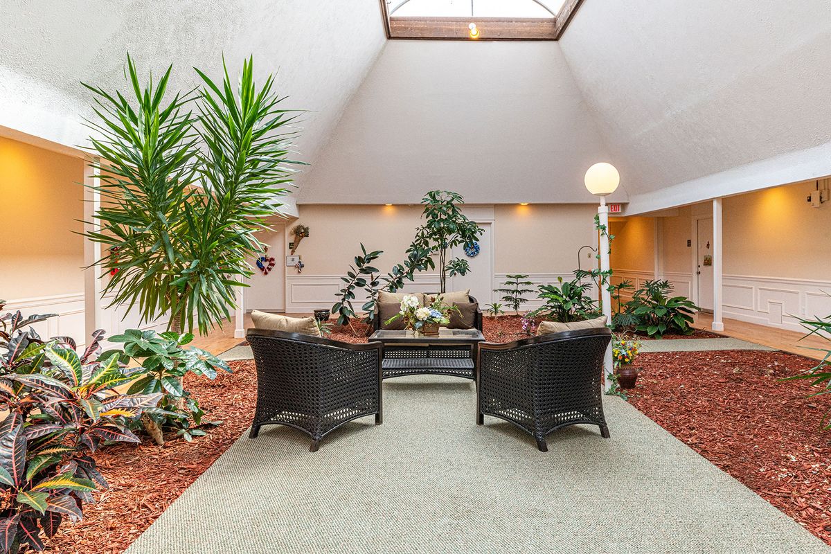 A serene indoor garden with comfortable wicker seating under a skylight.