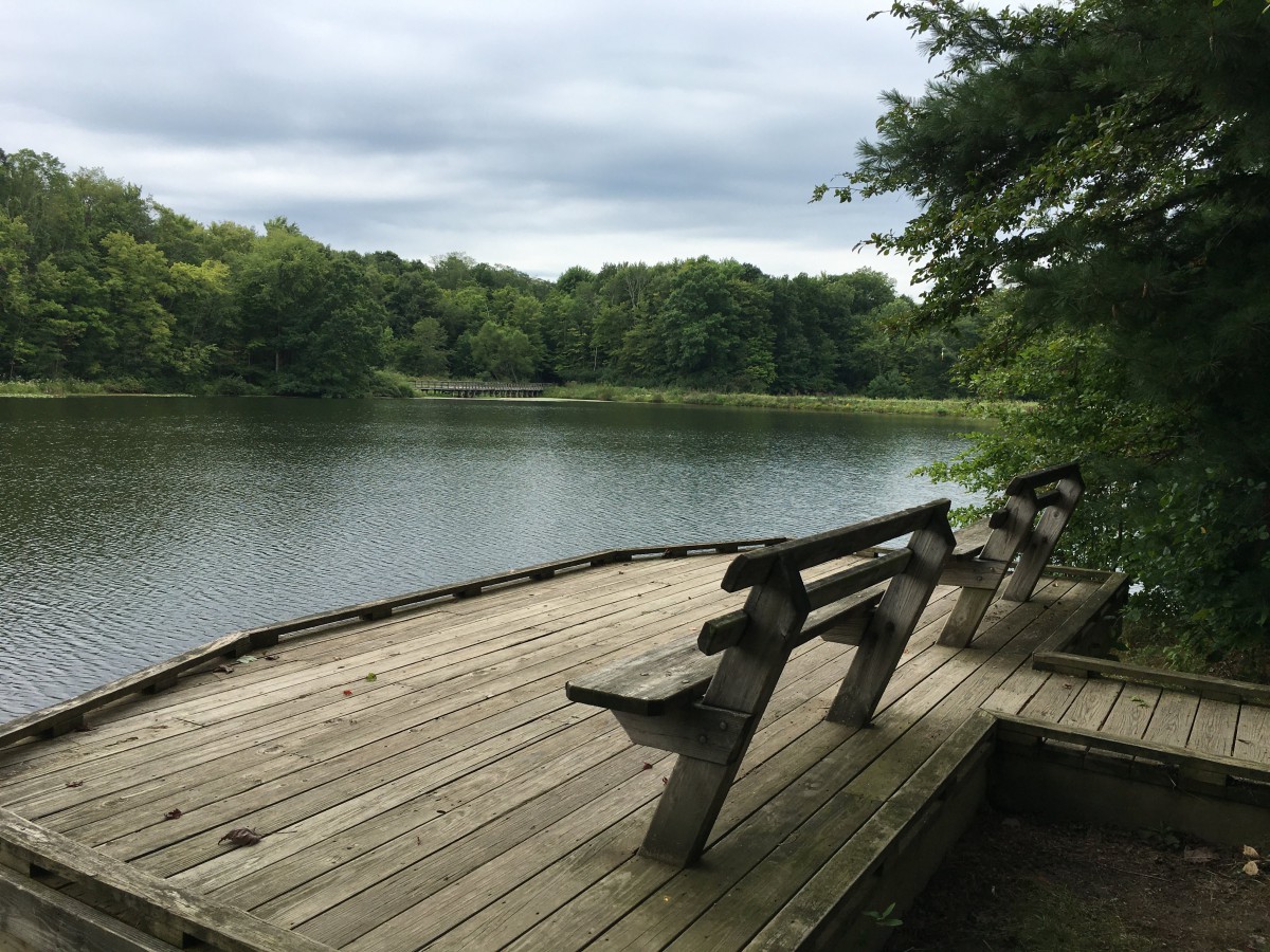 A tranquil view of a lake with benches on a wooden deck surrounded by lush greenery.