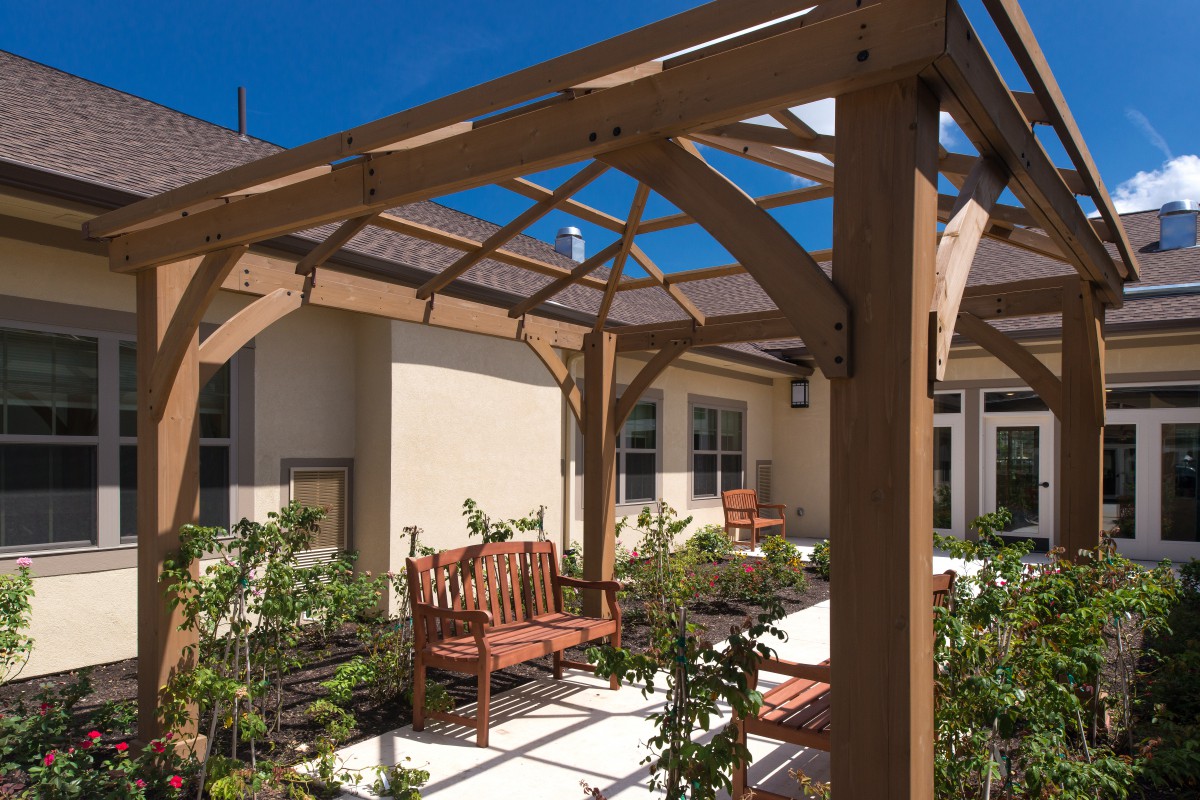 A sunny outdoor patio with a wooden pergola and seating surrounded by plants.