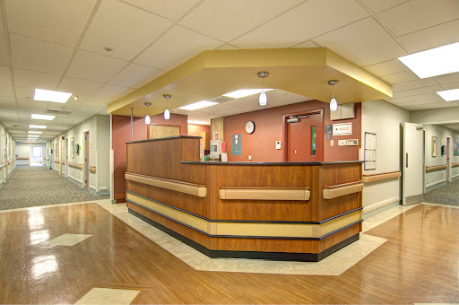 A modern hospital reception area featuring a wooden front desk and warm lighting.