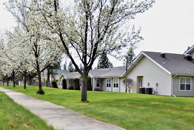 A peaceful suburban neighborhood with blooming trees and a neatly maintained sidewalk.