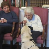 An elderly woman sits in a chair, interacting with a dog, while another person looks on.