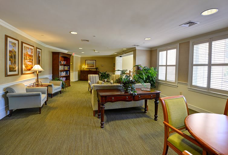 A cozy living room with comfortable seating, plants, and large windows.