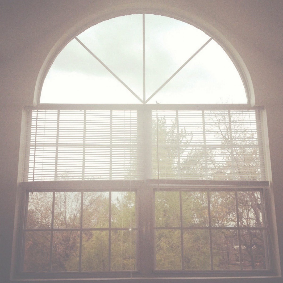 A sunlit arched window offers a view of trees outside.