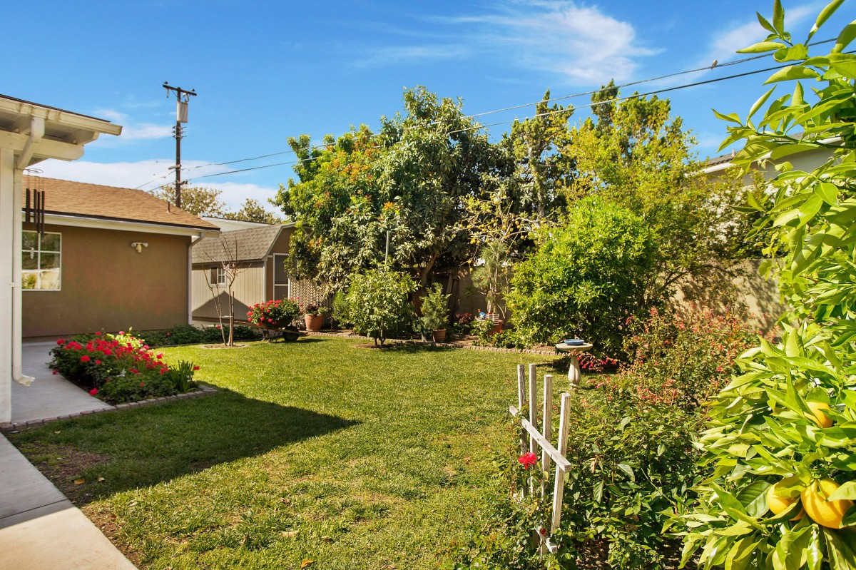 A vibrant backyard garden with a well-maintained lawn and lush trees under a clear blue sky.