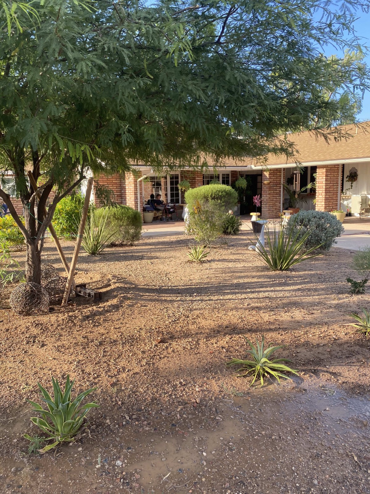 A house with desert landscaping and various plants in the yard.