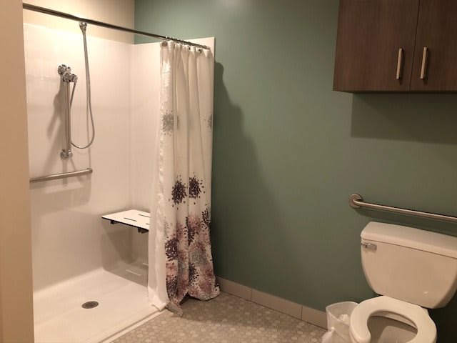 An accessible bathroom with a shower area, toilet, and grab bars.