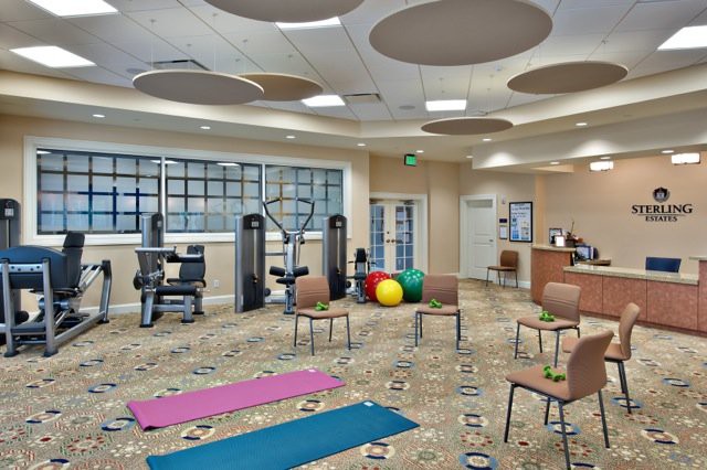 A modern fitness center with exercise equipment, yoga mats, and fitness balls arranged neatly in a spacious room.